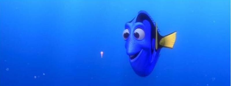 dory